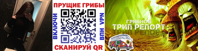 Купить где  Котельники  Псилоцибиновые грибы MAGIC MUSHROOMS 