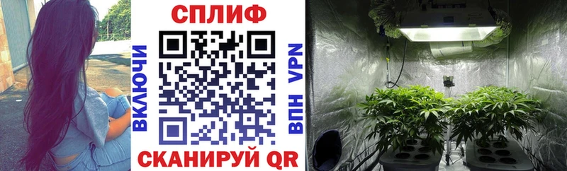Бошки марихуана Ganja  Купить закладки  Котельники 